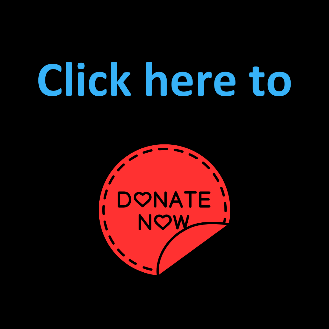 Donate now